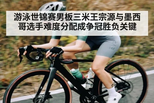 游泳世锦赛男板三米王宗源与墨西哥选手难度分配成争冠胜负关键（kaiyun）